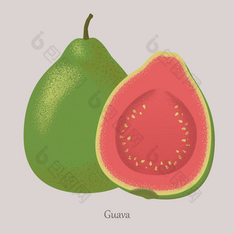 夏天热带水果番石榴整个水果和一半向量插图图标孤立的灰色背景夏天热带水果番石榴整个水果和一半
