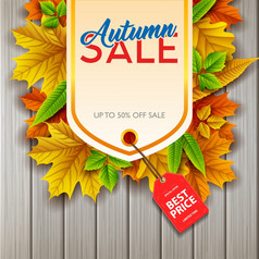 向量插图秋天出售横幅与色彩斑斓的秋天叶子木董事会背景