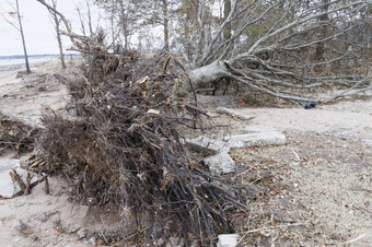 名单岛美国11月的图片破坏引起的的飓风桑迪和救援服务响应11月的街道名单岛美国
