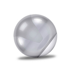 银健身球孤立的对白色背景银健身球孤立的