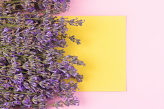 盛开的紫色的薰衣草粉红色的背景与复制空间黄色的纸