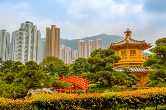 公园在香港香港金展馆包围植物和树摩天大楼和山的背景金展馆和摩天大楼在香港香港