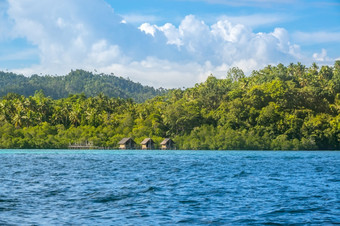 印尼海岸的热带岛杂草丛生的与热带<strong>雨林</strong>阳光明媚的天气三个小屋高跷水热带海岸与热带<strong>雨林</strong>和三个小屋高跷水