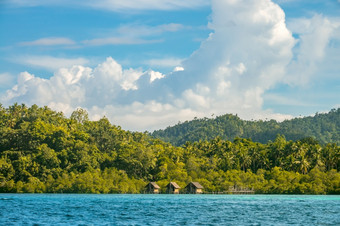 印尼的海岸热带岛杂草丛生的与密集的热带雨林阳光明媚的天气三个小屋高跷的水热带海岸与密集的热带雨林和三个小屋高跷的水