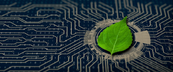 绿色叶的收敛点电脑电路董事会自然与数字收敛和技术收敛绿色计算绿色技术绿色企业社会责任和道德概念