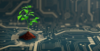 日益增长的<strong>树</strong>与土壤的收敛点电脑电路董事会自然与数字收敛和技术收敛绿色计算绿色技术绿色<strong>企业</strong>社会责任和道德概念