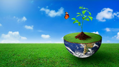 植物日益增长的的一半球与绿色草自然和蓝色的天空背景世界生态世界环境一天世界地球一天和储蓄环境概念图像有家具的已开启