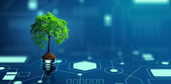 树与土壤日益增长的光灯泡数字收敛和和技术收敛蓝<strong>色</strong>的光和网络背景<strong>绿色</strong>计算<strong>绿色</strong>技术<strong>绿色</strong>企业社会责任和道德概念