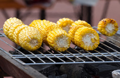 玉米的结实的矮烧烤烧烤