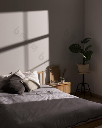 简约床上与室内植物决议和高质量美丽的照片简约床上与室内植物高质量和决议美丽的照片概念