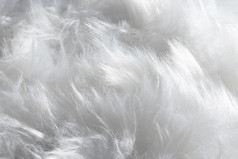 毛茸茸的白色羽毛有机背景决议和高质量美丽的照片毛茸茸的白色羽毛有机背景高质量美丽的照片概念