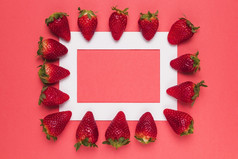 成熟的多汁的草莓排白色框架粉红色的背景