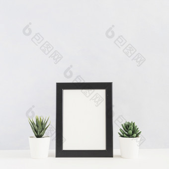盆栽仙人掌植物图片框架桌子上对白色背景
