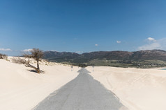 空路金沙对山