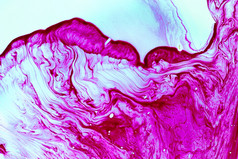 摘要流体紫罗兰色的形状石油