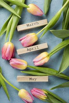 盛开的郁金香与春天个月标签