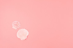 两个扇贝海贝粉红色的背景