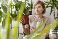 女人持有植物根