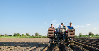 工人拖拉机是种植土豆自动化的过程种植土豆种子农业技术agroindustry和农业综合企业农业高效率和速度