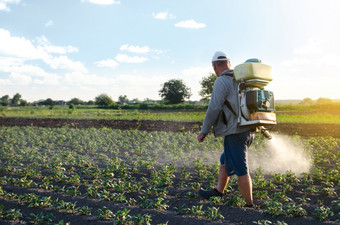 农民喷雾土豆种植园与喷雾器化学治疗雾喷雾器杀真菌剂和农药有效的作物保护培养植物对昆虫和真菌工作场