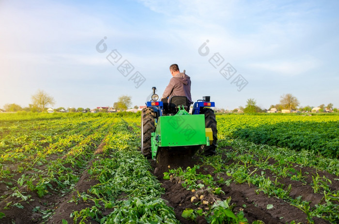农民挖掘出作物土豆收获第一个土豆早期春天农业和农田农业行业和农业综合企业支持为农场收获机械化发展中国家