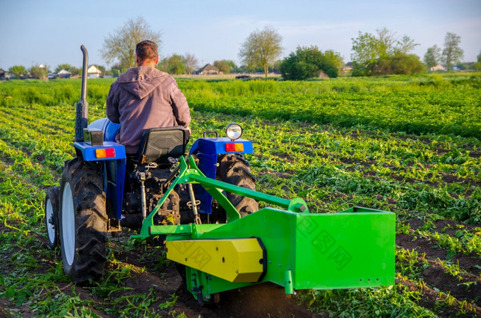 农民挖掘出作物土豆与拖拉机收获第一个土豆早期春天农业和农田农业行业和农业综合企业收获机械化发展中国家