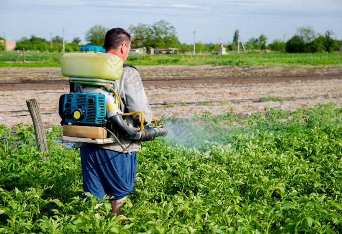 农民与雾雾化器喷雾器喷雾杀真菌剂和农药土豆灌木保护培养植物从昆虫和真菌感染有效的作物保护环境影响