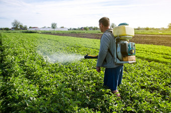 农民与雾雾化器喷雾器喷雾杀真菌剂和农药土豆灌木保护培养植物从昆虫和真菌感染有效的作物保护环境影响