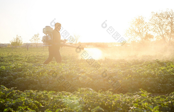 农民与雾喷雾器早....种植园保护和哪使用工业化学物质保护作物从昆虫农业和农业综合企业收获处理