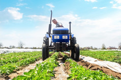 农民驱动器拖拉机通过的行土豆种植园改善质量地面允许水和氮空气通过通过根作物哪农业农业行业