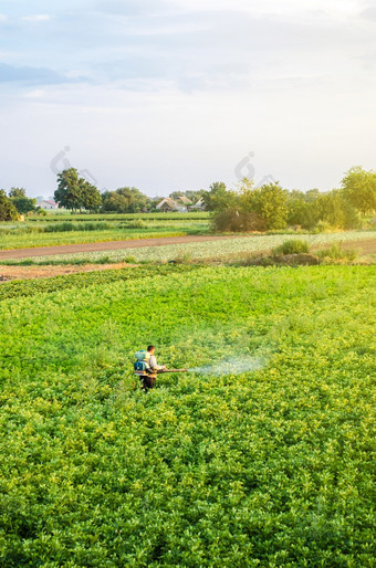 农民与雾喷雾器鼓风机流程的土豆种植园从害虫和真菌感染使用农业工业化学物质保护作物烟熏器雾化器保护和哪