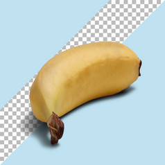 关闭视图孤立的成熟的黄色的香蕉