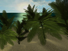 热带海滩白天与棕榈树