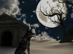 插图狼在的完整的月亮冬天与令人毛骨悚然的树和老地下室呈现插图狼在的完整的月亮冬天与令人毛骨悚然的树和老地下室