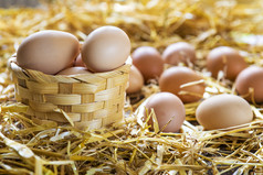 新鲜的和有机鸡蛋篮子稻草巢农场