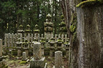 奥之院墓地奥之院墓地山放而且高野山和歌山日本世界遗产网站