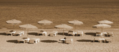 希腊食物岛Kefalos海滩椅子而且雨伞的海滩乌贼健美的复古的风格