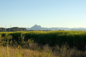 糖狗农场与的实施山警告的背景北部新南威尔士州澳大利亚