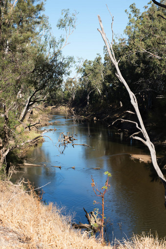 的麦格理河附近沃伦新南威尔士澳大利亚