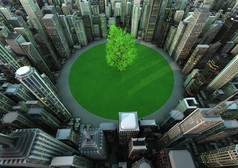 渲染树的中间城市