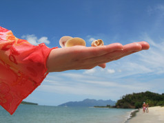 海贝的手对桑迪海滩朗考马来西亚