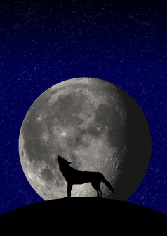 狼月亮