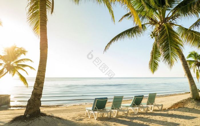 海滩假期与棕榈树和躺椅热带海滩假期场景与