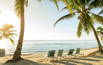 海滩假期与棕榈树和<strong>躺椅</strong>热带海滩假期场景与棕榈树和<strong>躺椅</strong>的沙子的水