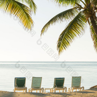 热带海滩躺椅棕榈树热带海滩与躺椅的沙子俯瞰的水