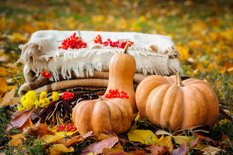 秋天感恩节浪漫的仍然生活与堆放胡岛南瓜苹果和浆果秋天感恩节仍然生活
