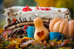 秋天感恩节浪漫的仍然生活与堆放胡岛南瓜苹果浆果和咖啡杯秋天感恩节仍然生活