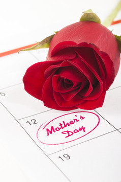 红色的玫瑰巴德日历显示母亲一天