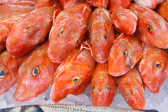 销售新鲜的鱼的市场