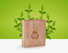 纸袋与绿色嫩枝而且回收标志生态意识概念